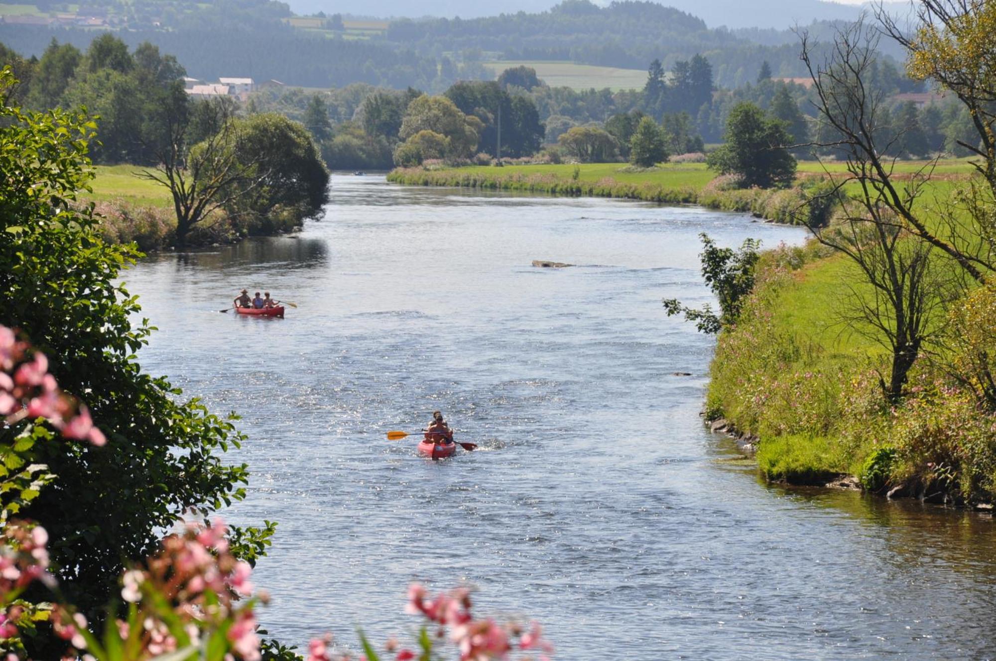 Ferienwohnung Regentalblick Miltach Buitenkant foto