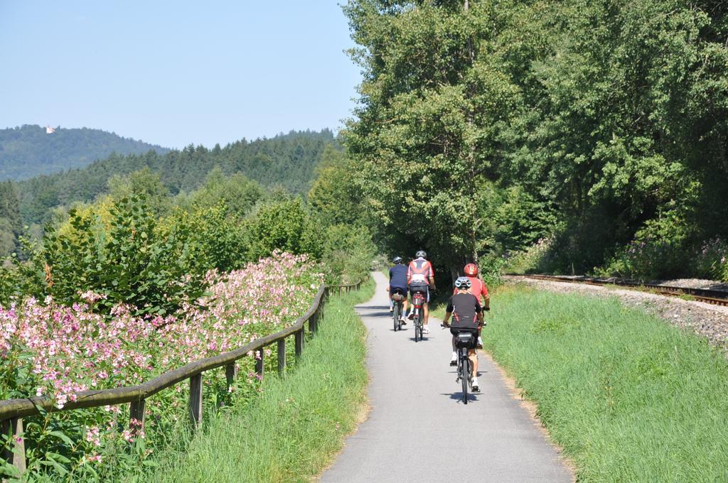 Ferienwohnung Regentalblick Miltach Buitenkant foto