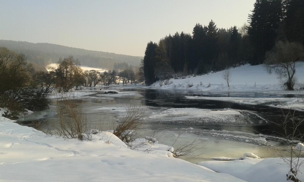 Ferienwohnung Regentalblick Miltach Buitenkant foto