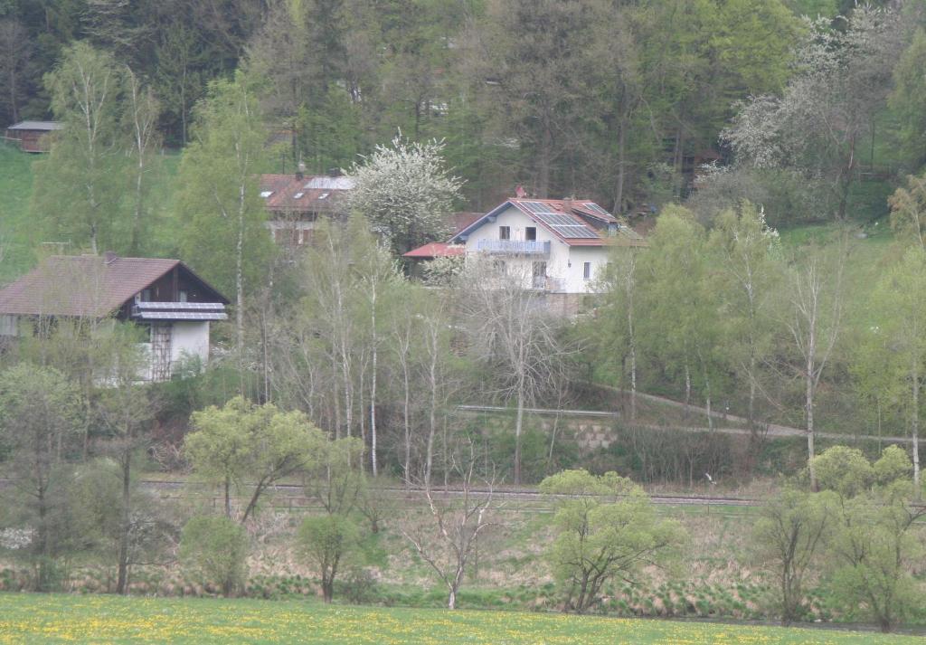 Ferienwohnung Regentalblick Miltach Buitenkant foto